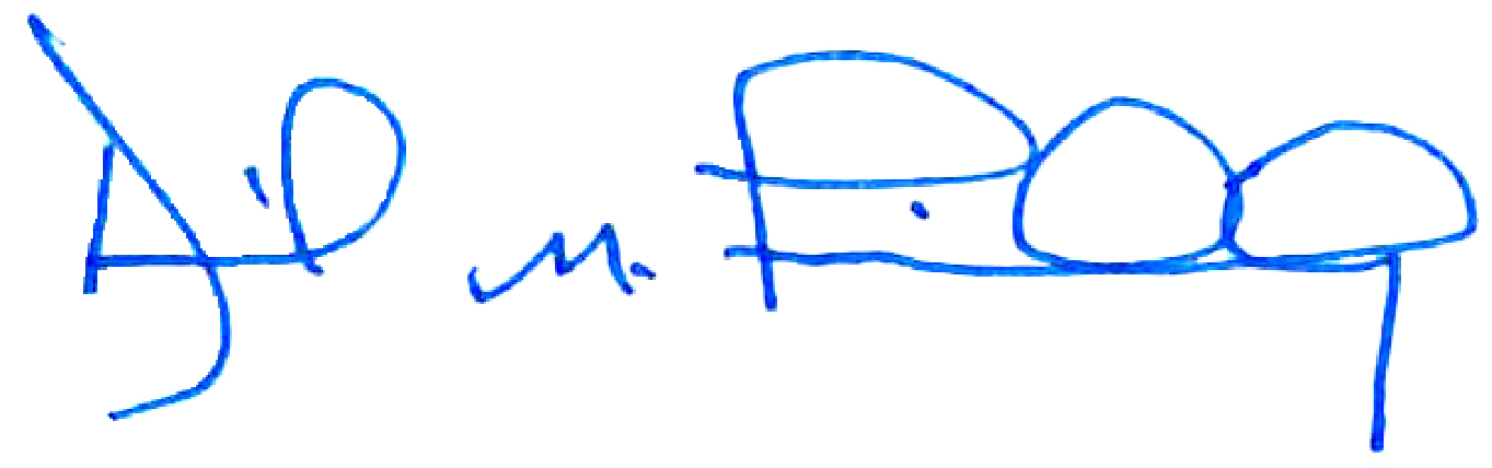 David's signature.jpg